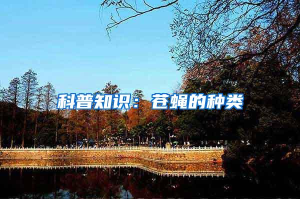 科普知識:蒼蠅的種類
