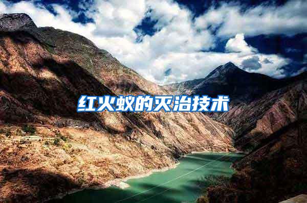 紅火蟻的滅治技術(shù)