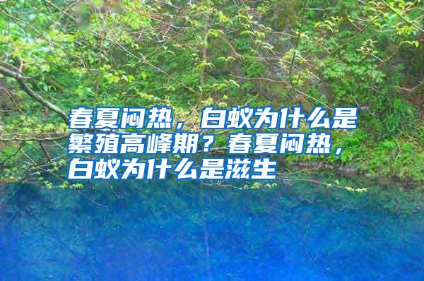 春夏悶熱,白蟻為什么是繁殖高峰期?春夏悶熱,白蟻為什么是滋生