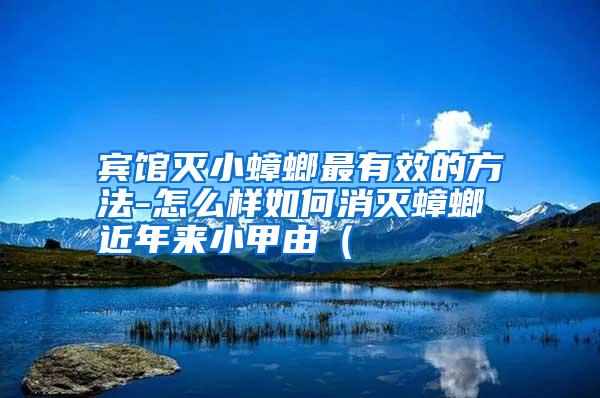 賓館滅小蟑螂最有效的方法-怎么樣如何消滅蟑螂 近年來小甲由(