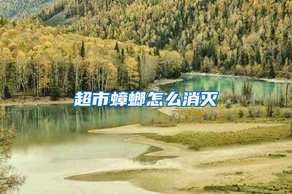 超市蟑螂怎么消滅