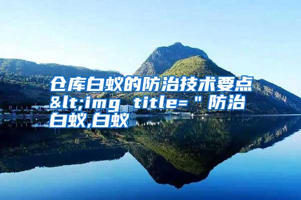 倉庫白蟻的防治技術(shù)要點<img title="防治白蟻,白蟻