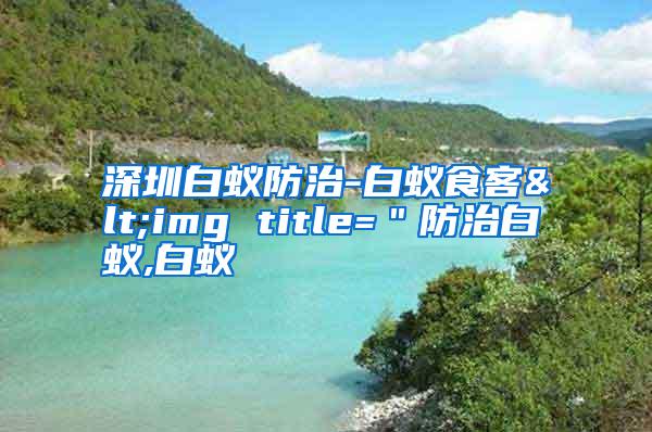 深圳白蟻防治-白蟻食客<img title="防治白蟻,白蟻