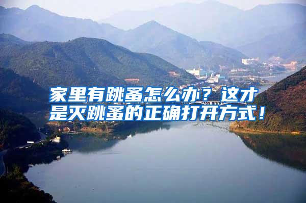 家里有跳蚤怎么辦?這才是滅跳蚤的正確打開方式!
