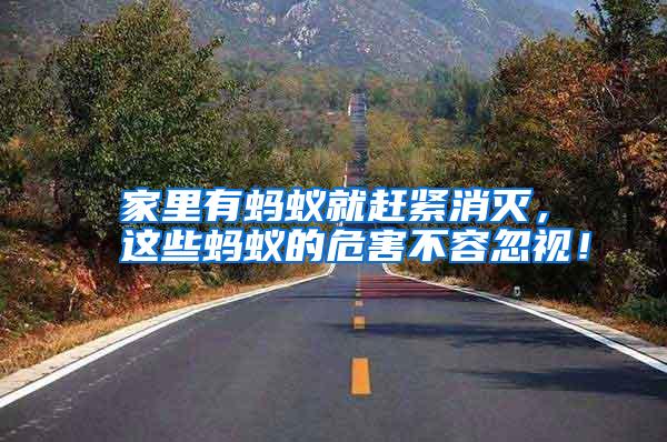 家里有螞蟻就趕緊消滅,這些螞蟻的危害不容忽視!