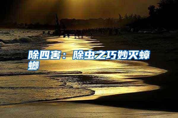 除四害:除蟲之巧妙滅蟑螂