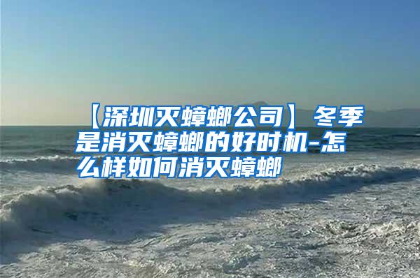 【深圳滅蟑螂公司】冬季是消滅蟑螂的好時機-怎么樣如何消滅蟑螂