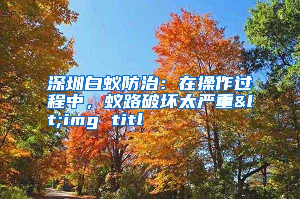 深圳白蟻防治:在操作過程中,蟻路破壞太嚴重<img titl