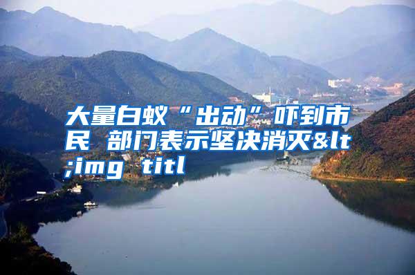 大量白蟻“出動(dòng)”嚇到市民 部門表示堅(jiān)決消滅<img titl