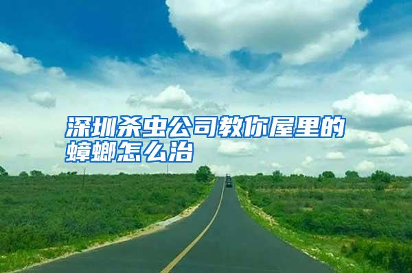 深圳殺蟲公司教你屋里的蟑螂怎么治