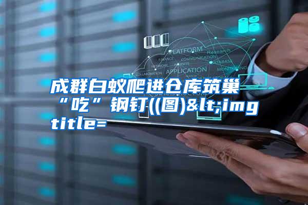 成群白蟻爬進(jìn)倉(cāng)庫(kù)筑巢“吃”鋼釘((圖)<img title=