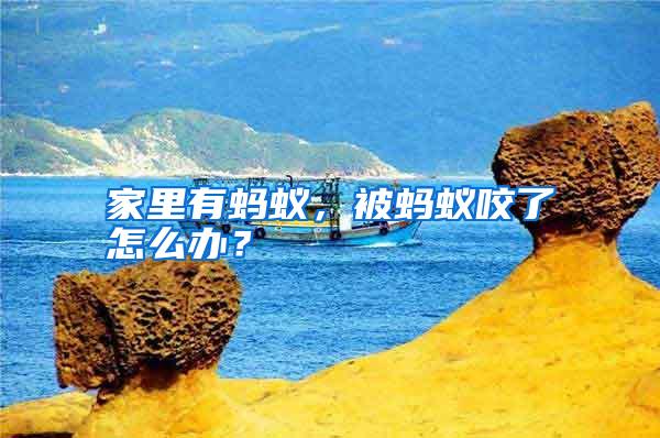 家里有螞蟻,被螞蟻咬了怎么辦?