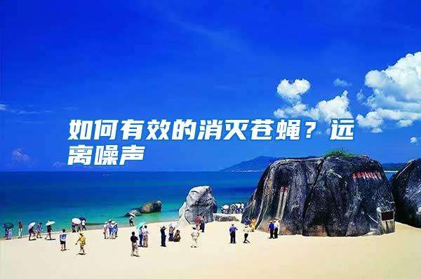 如何有效的消滅蒼蠅?遠(yuǎn)離噪聲