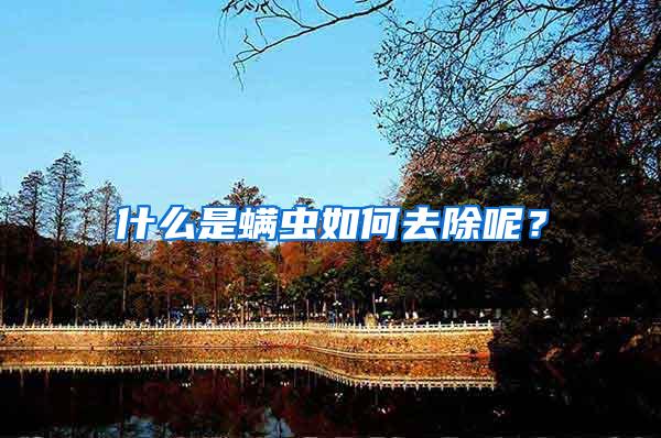 什么是螨蟲如何去除呢?