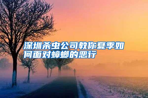 深圳殺蟲公司教你夏季如何面對蟑螂的惡行