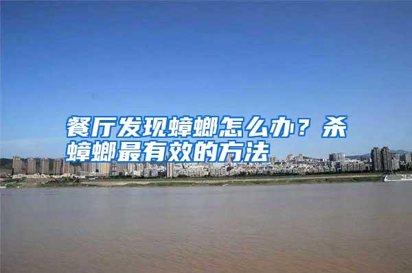 餐廳發(fā)現(xiàn)蟑螂怎么辦?殺蟑螂最有效的方法