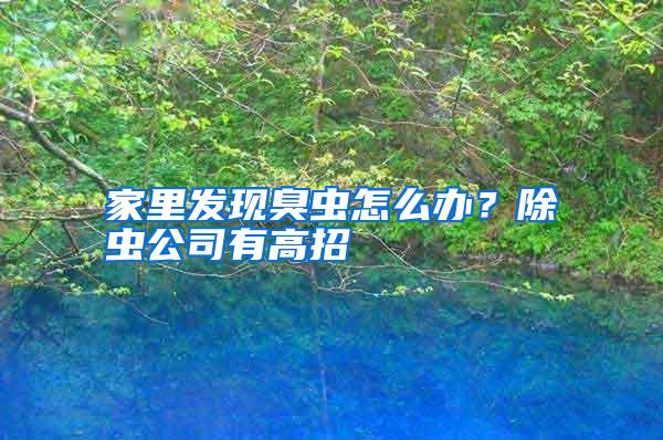 家里發(fā)現(xiàn)臭蟲(chóng)怎么辦?除蟲(chóng)公司有高招