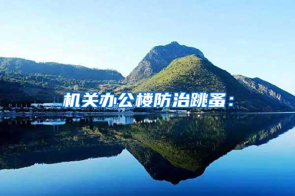 機關(guān)辦公樓防治跳蚤: