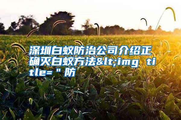 深圳白蟻防治公司介紹正確滅白蟻方法<img title="防