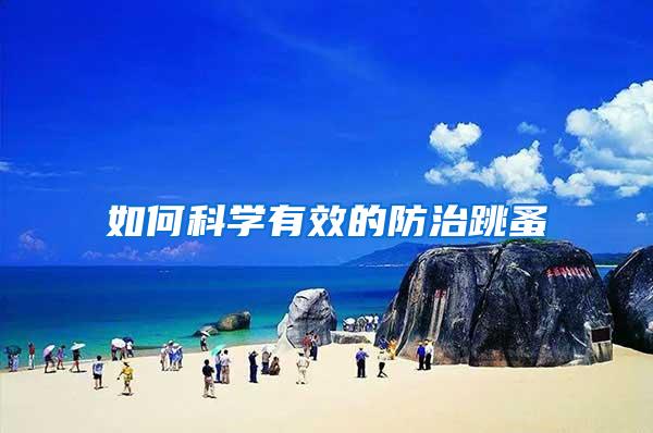 如何科學有效的防治跳蚤