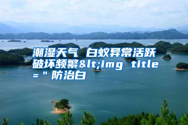 潮濕天氣 白蟻異常活躍破壞頻繁<img title="防治白