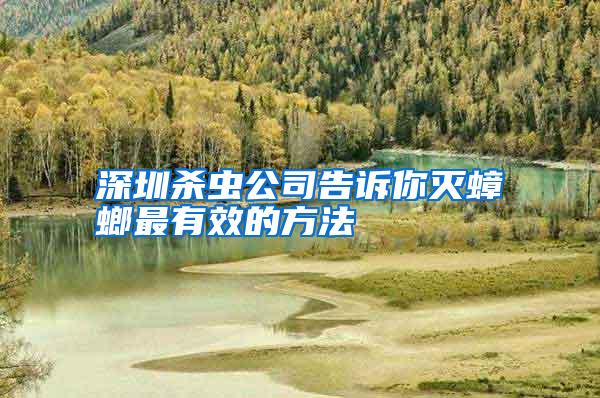 深圳殺蟲(chóng)公司告訴你滅蟑螂最有效的方法