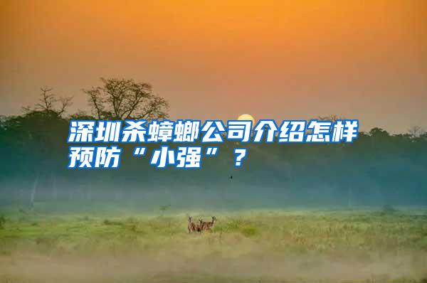 深圳殺蟑螂公司介紹怎樣預(yù)防“小強”?