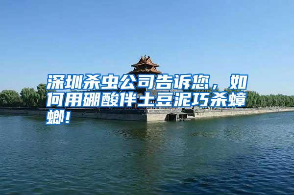 深圳殺蟲公司告訴您，如何用硼酸伴土豆泥巧殺蟑螂!