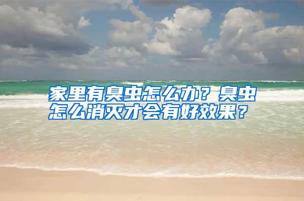家里有臭蟲怎么辦？臭蟲怎么消滅才會有好效果？