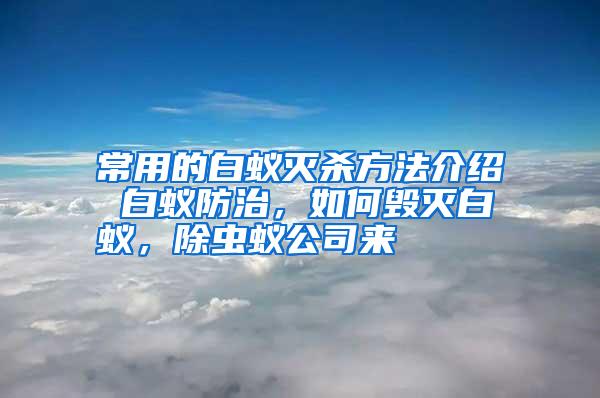常用的白蟻滅殺方法介紹 白蟻防治,如何毀滅白蟻,除蟲蟻公司來