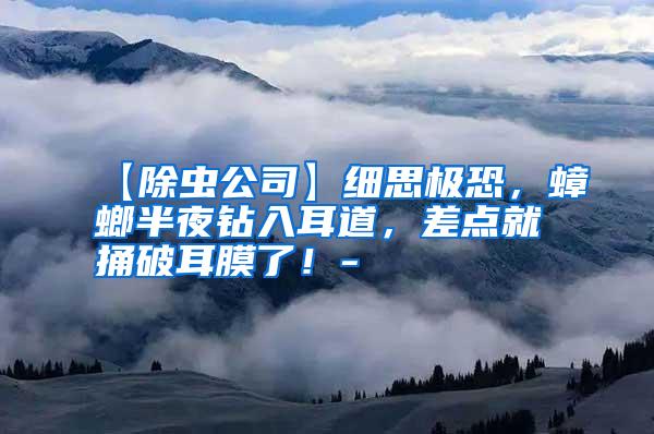 【除蟲公司】細思極恐,蟑螂半夜鉆入耳道,差點就捅破耳膜了!-