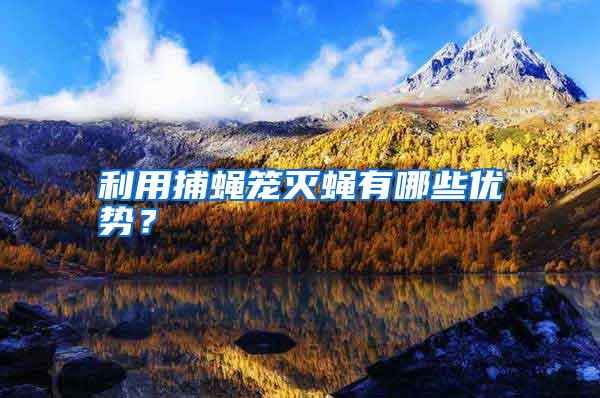 利用捕蠅籠滅蠅有哪些優(yōu)勢?