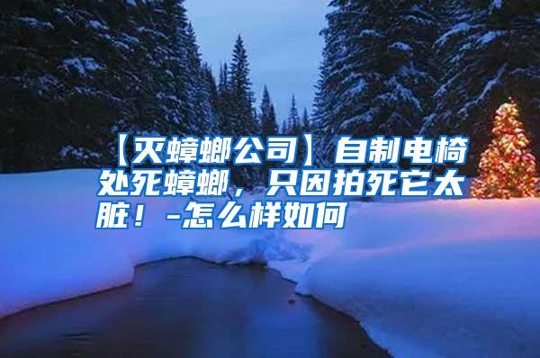 【滅蟑螂公司】自制電椅處死蟑螂,只因拍死它太臟!-怎么樣如何