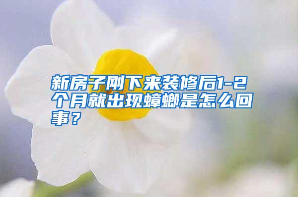 新房子剛下來裝修后1-2個月就出現(xiàn)蟑螂是怎么回事?