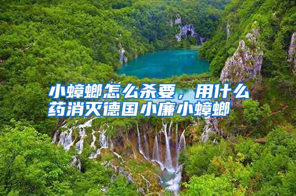 小蟑螂怎么殺要,用什么藥消滅德國小廉小蟑螂