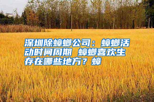 深圳除蟑螂公司:蟑螂活動(dòng)時(shí)間周期 蟑螂喜歡生存在哪些地方?蟑