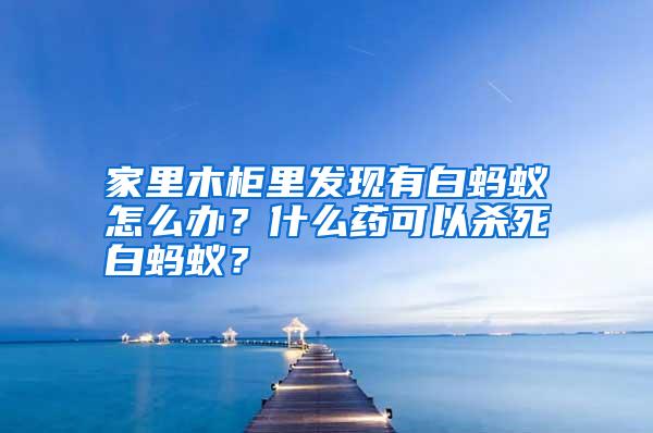 家里木柜里發(fā)現(xiàn)有白螞蟻怎么辦?什么藥可以殺死白螞蟻?
