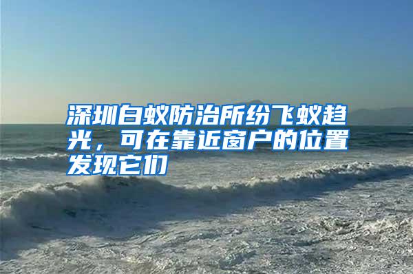 深圳白蟻防治所紛飛蟻趨光,可在靠近窗戶(hù)的位置發(fā)現(xiàn)它們