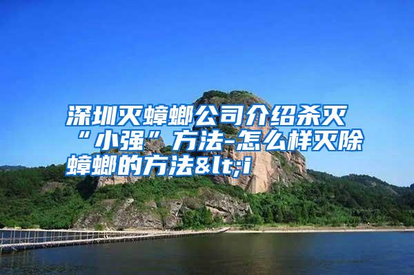 深圳滅蟑螂公司介紹殺滅“小強”方法-怎么樣滅除蟑螂的方法<i