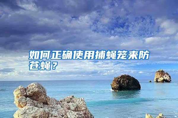 如何正確使用捕蠅籠來防蒼蠅？