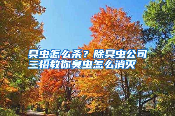 臭蟲怎么殺?除臭蟲公司三招教你臭蟲怎么消滅