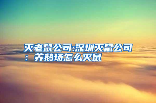 滅老鼠公司:深圳滅鼠公司:養(yǎng)鵝場怎么滅鼠