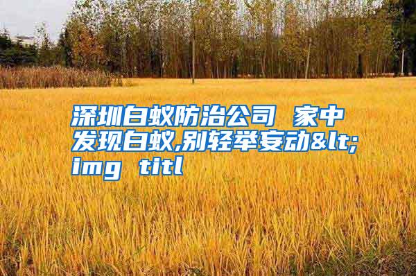 深圳白蟻防治公司 家中發(fā)現(xiàn)白蟻,別輕舉妄動<img titl