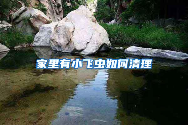 家里有小飛蟲(chóng)如何清理
