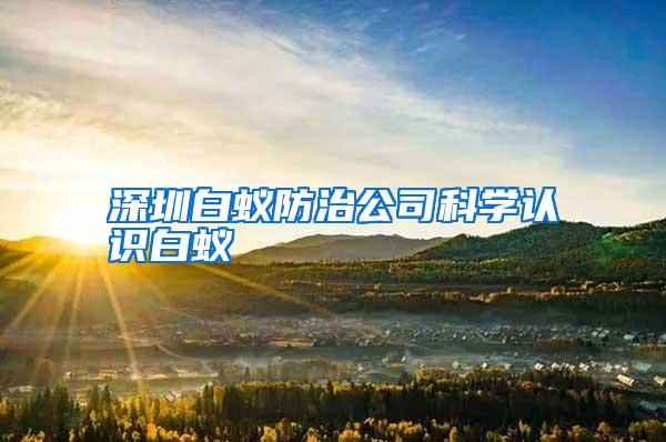 深圳白蟻防治公司科學認識白蟻