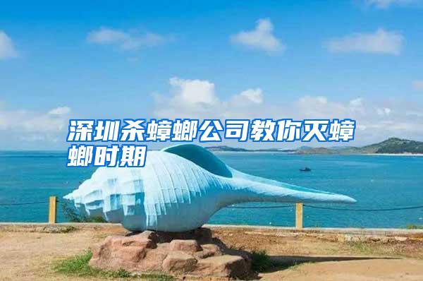 深圳殺蟑螂公司教你滅蟑螂時期