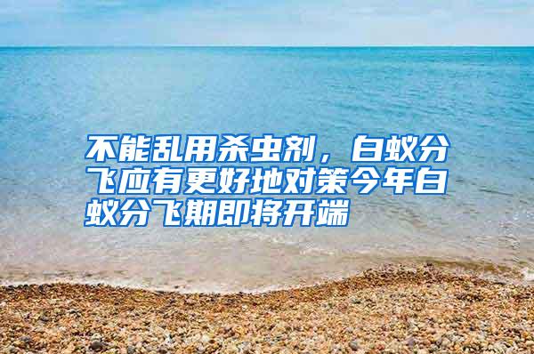 不能亂用殺蟲劑,白蟻分飛應有更好地對策今年白蟻分飛期即將開端