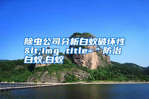 除蟲公司分析白蟻破壞性<img title="防治白蟻,白蟻