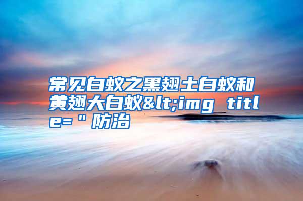 常見白蟻之黑翅土白蟻和黃翅大白蟻<img title="防治