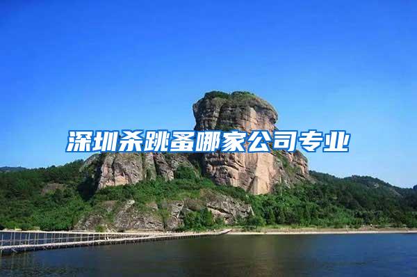 深圳殺跳蚤哪家公司專業(yè)